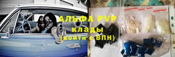 трава Аркадак