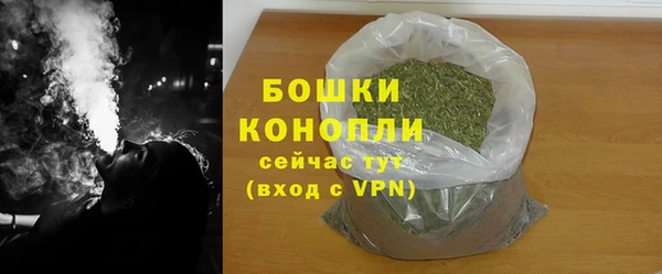 гидра Арсеньев