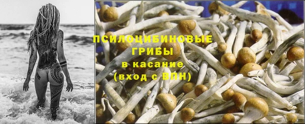 МДПВ Армянск