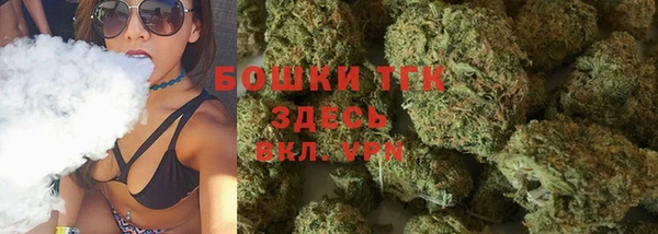 гидра Арсеньев